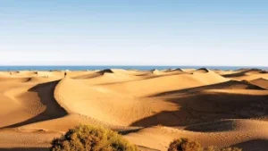 Atlantic Treasures 2 Las Palmas Gran Canaria